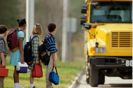 20 Humorous Questions About Unschooling