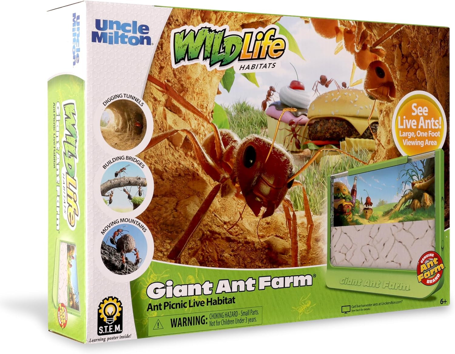 Giant Ant Farm - Large Viewing Area - Care for Live Ants - Nature Learning Toy - Science DIY Toy Kit - Great Gift for Boys & Girls, Green