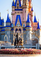 Disney Parks - Uncharted Learning