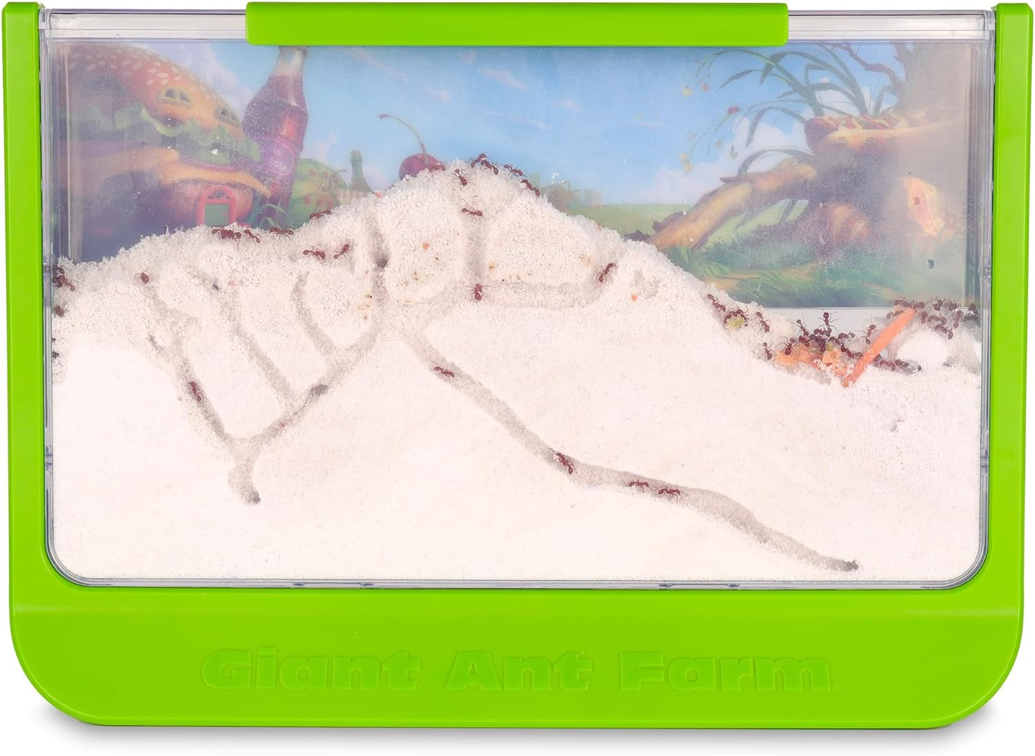 Giant Ant Farm - Large Viewing Area - Care for Live Ants - Nature Learning Toy - Science DIY Toy Kit - Great Gift for Boys & Girls, Green
