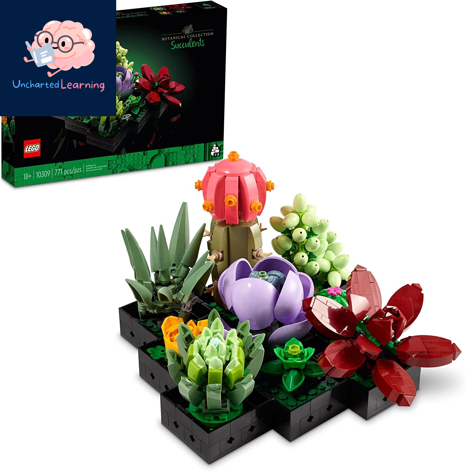 Icons Succulents Artificial Plant Set for Adults, Home Decor, Birthday, Creative Housewarming Gifts, Botanical Collection, Flower Bouquet Kit, 10309