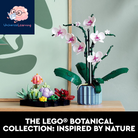 Icons Succulents Artificial Plant Set for Adults, Home Decor, Birthday, Creative Housewarming Gifts, Botanical Collection, Flower Bouquet Kit, 10309