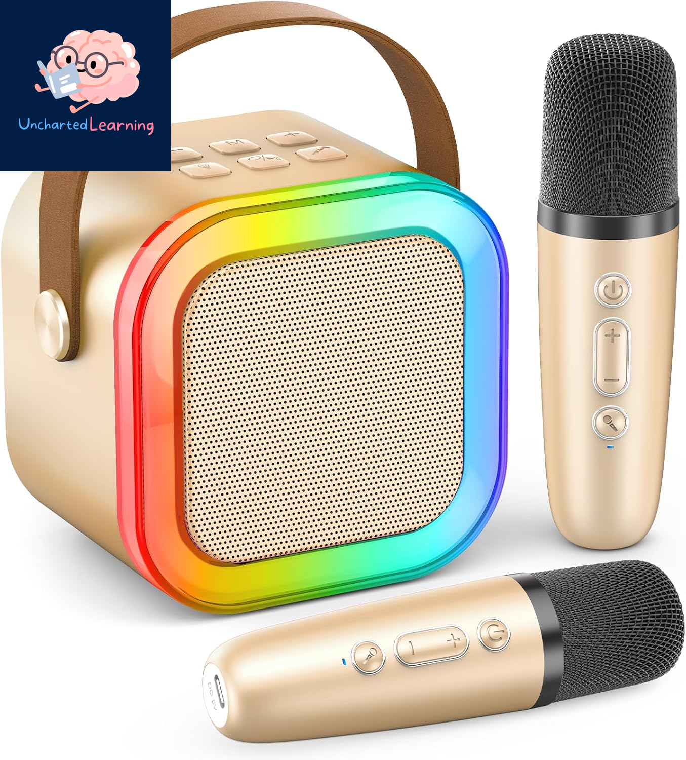 Karaoke Machine for Kids Adults, Portable Bluetooth Mini Karaoke Microphone Singing Speaker with 2 Wireless Mic and Light,Toys for All Smartphones,Birthday, Family,Home Party (Rose Gold)