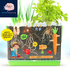 Root Viewer Kit for Kids - Easter Gifts - Grow Your Own Plant for Boys & Girls - Science STEM Toy & Craft Growing Kits for Ages 4-8 Birthday Gifts for Boy, Girl 4, 5, 6, 7, 8, Year Old - Gardening Toy
