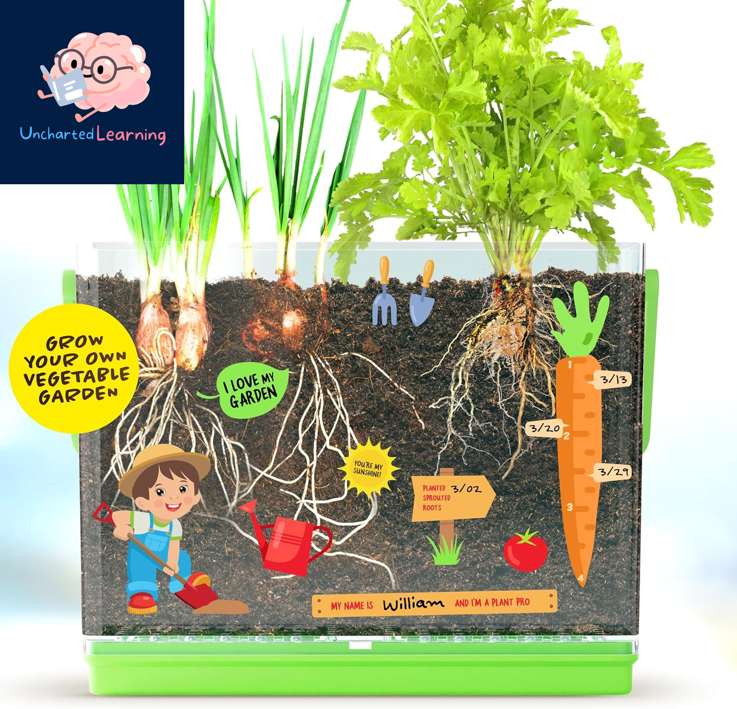 Root Viewer Kit for Kids - Easter Gifts - Grow Your Own Plant for Boys & Girls - Science STEM Toy & Craft Growing Kits for Ages 4-8 Birthday Gifts for Boy, Girl 4, 5, 6, 7, 8, Year Old - Gardening Toy