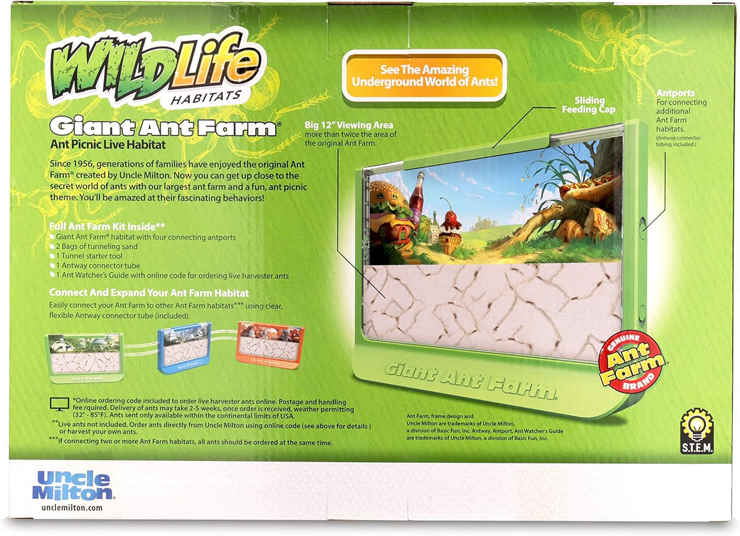 Giant Ant Farm - Large Viewing Area - Care for Live Ants - Nature Learning Toy - Science DIY Toy Kit - Great Gift for Boys & Girls, Green