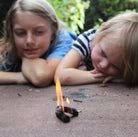 LANDMARK KIDS - Uncharted Learning