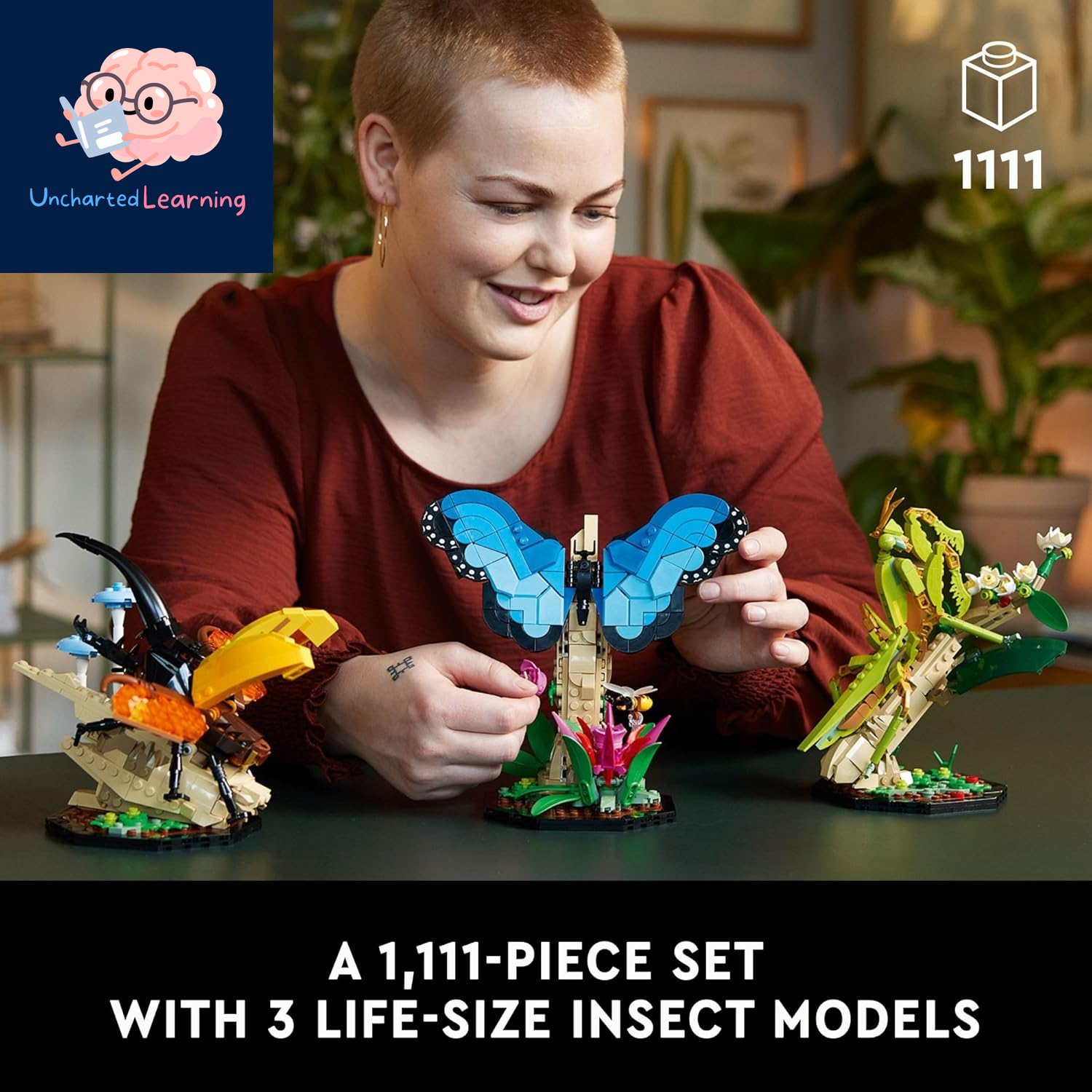 Ideas the Insect Collection, Fun Gift for Nature Lovers, with Life-Size Blue Morpho Butterfly, Hercules Beetle and Chinese Mantis Display Models, Bug Building Set and Nature Décor, 21342