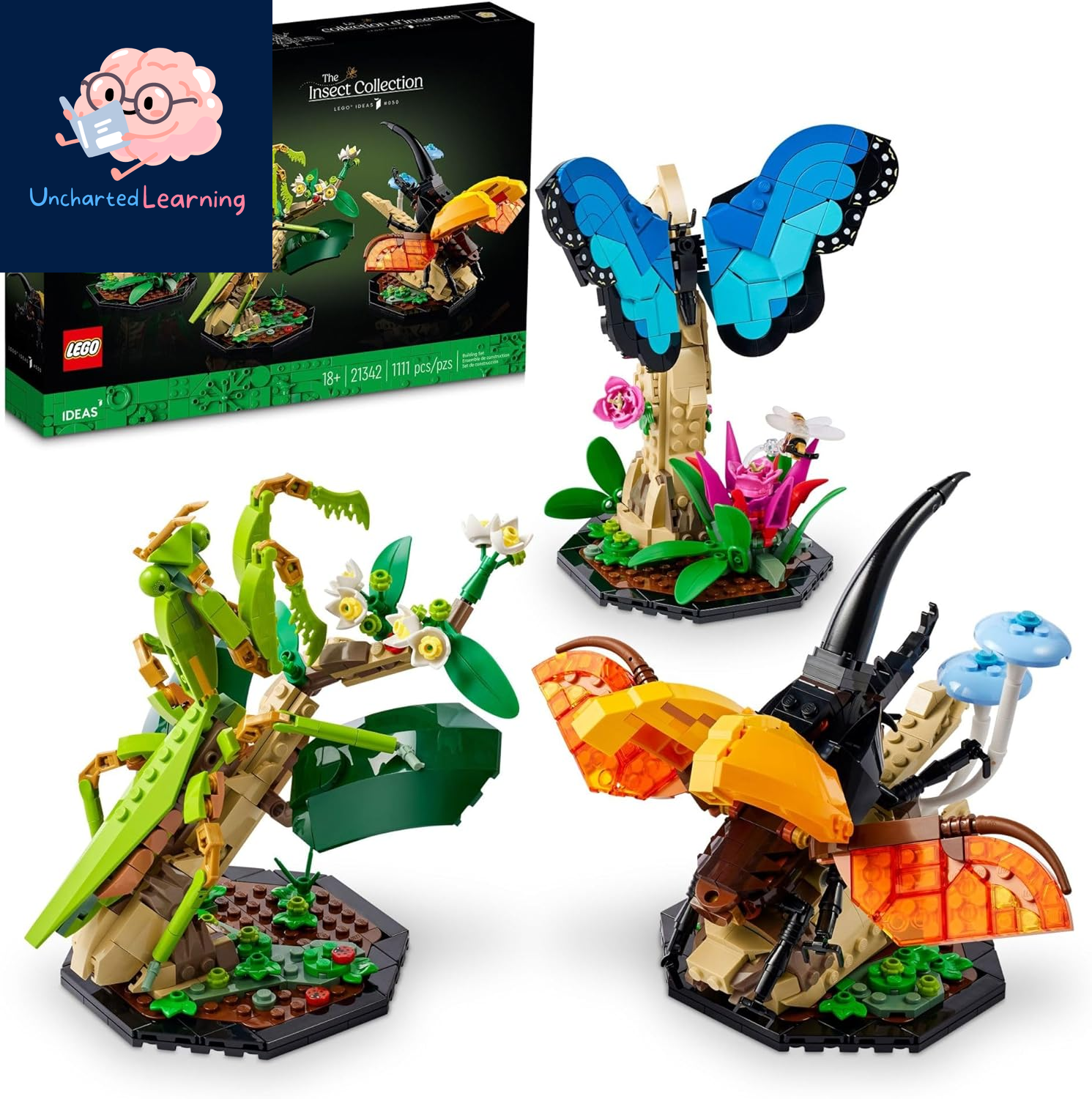 Ideas the Insect Collection, Fun Gift for Nature Lovers, with Life-Size Blue Morpho Butterfly, Hercules Beetle and Chinese Mantis Display Models, Bug Building Set and Nature Décor, 21342