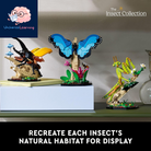 Ideas the Insect Collection, Fun Gift for Nature Lovers, with Life-Size Blue Morpho Butterfly, Hercules Beetle and Chinese Mantis Display Models, Bug Building Set and Nature Décor, 21342