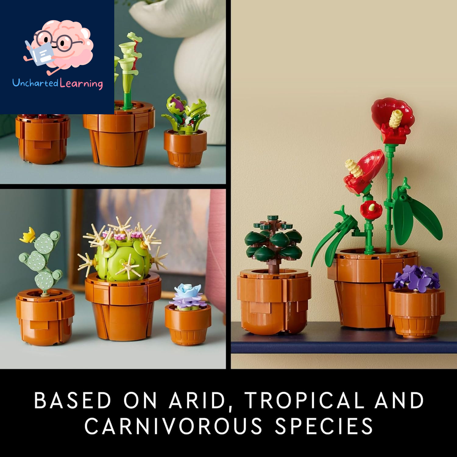 Botanicals Tiny Plants - Artificial, Fake Indoor Plant Building Set for Home, Kitchen, Desk Decoration, Adults Ages 18+ - 10329