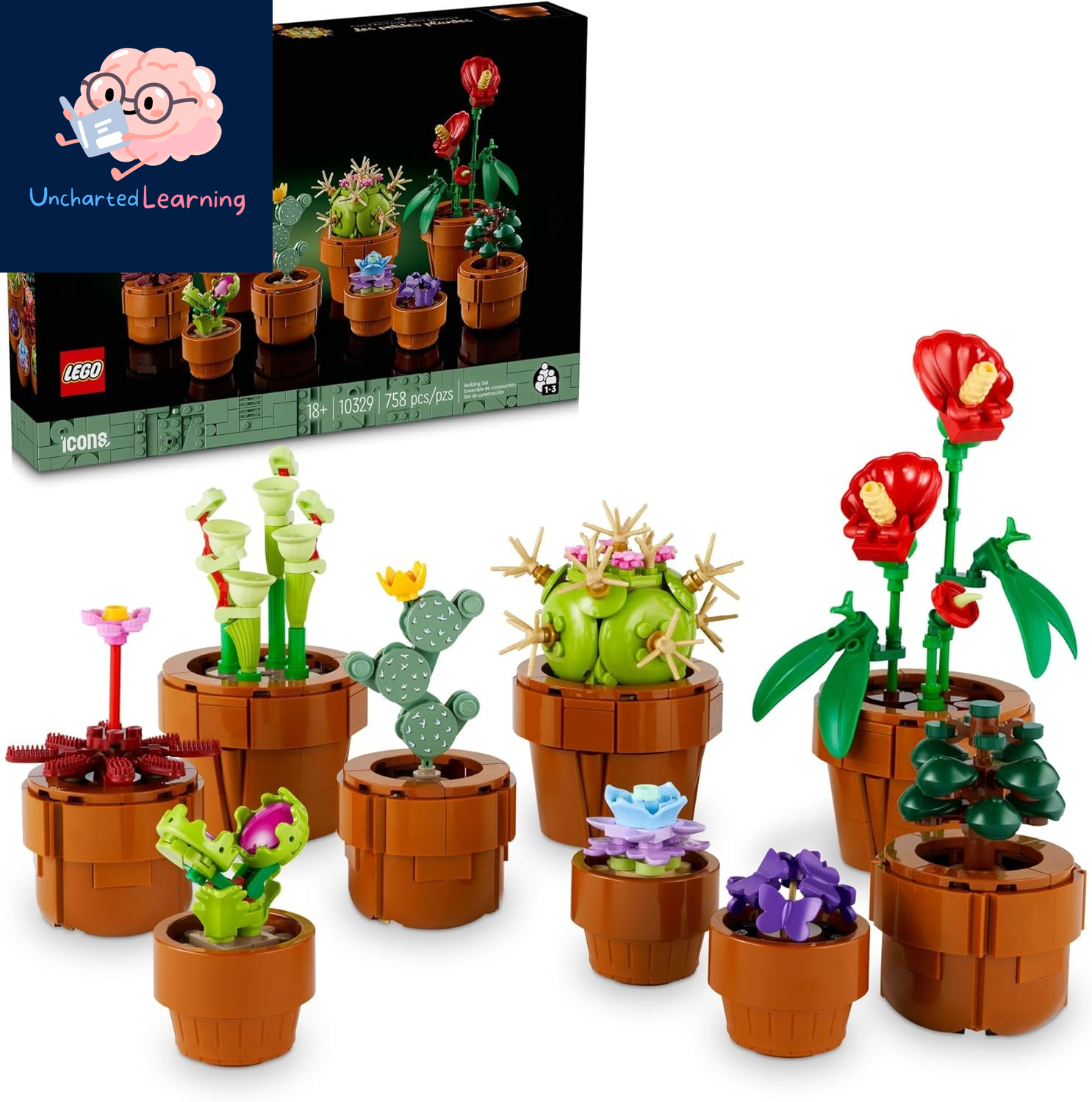 Botanicals Tiny Plants - Artificial, Fake Indoor Plant Building Set for Home, Kitchen, Desk Decoration, Adults Ages 18+ - 10329